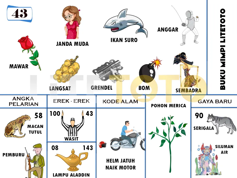 buku mimpi erek erek togel 43