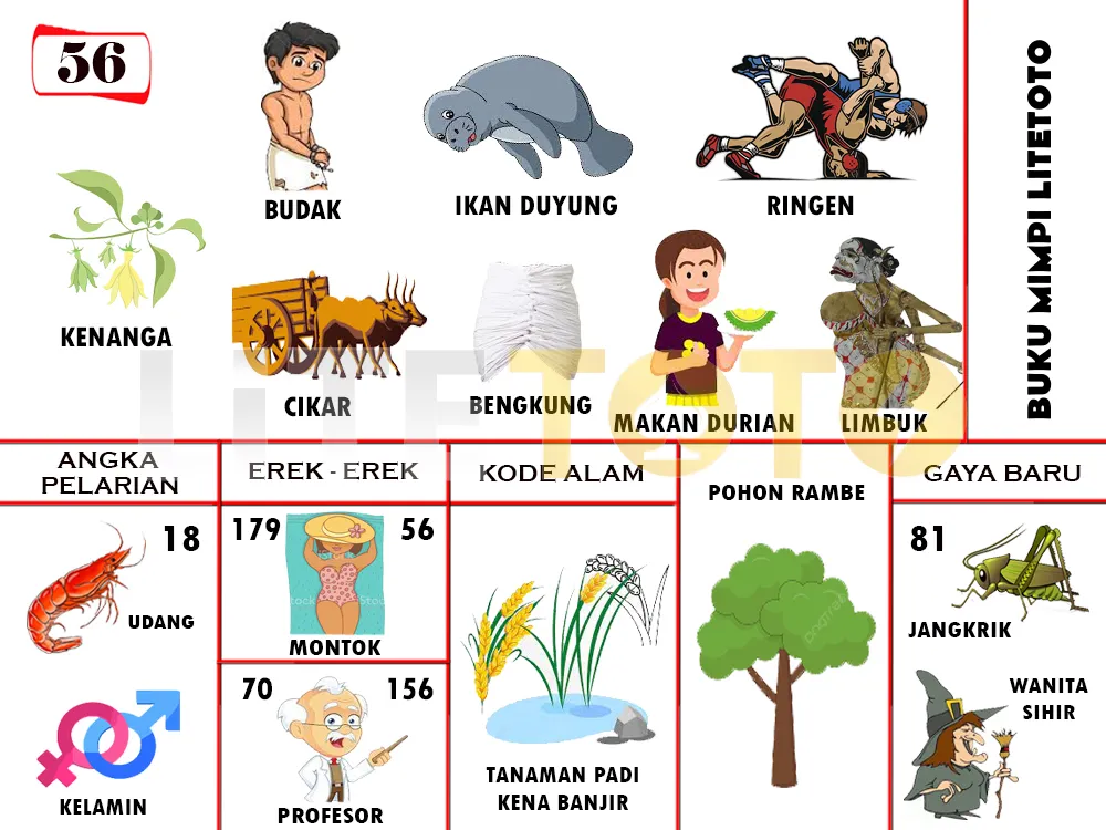 buku mimpi erek erek togel 56